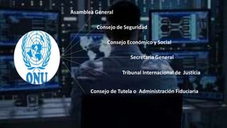 Asamblea General
Consejo de Seguridad
Consejo Económico y Social
Secretaria General
Tribunal Internacional de Justicia
Consejo de Tutela o Administración Fiduciaria
 