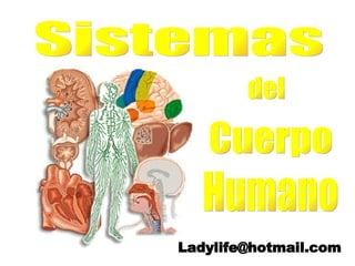 Sistemas del Cuerpo Humano [email_address] 
