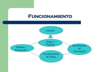 Funcionamiento Usuario Dirigir y Planear Identificación de Información Procesamiento de Datos Análisis y Producción 