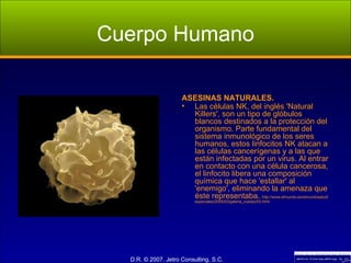 Cuerpo Humano ASESINAS NATURALES. Las células NK, del inglés 'Natural Killers', son un tipo de glóbulos blancos destinados a la protección del organismo. Parte fundamental del sistema inmunológico de los seres humanos, estos linfocitos NK atacan a las células cancerígenas y a las que están infectadas por un virus. Al entrar en contacto con una célula cancerosa, el linfocito libera una composición química que hace 'estallar' al 'enemigo', eliminando la amenaza que éste representaba.  http://www.elmundo.es/elmundosalud/especiales/2005/03/galeria_cuerpo/03.html 