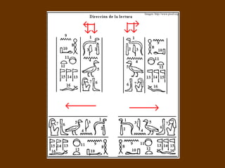 Imagen: http://www.proel.org 