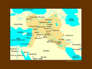 Imagen: http://www.proel.org 