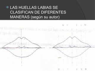 SISTEMAS-DE-IDENTIFICACION clase[1].ppt V | PPT