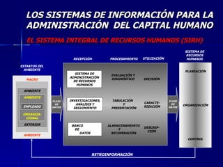 LOS SISTEMAS DE INFORMACIÓN PARA LA ADMINISTRACIÓN  DEL CAPITAL HUMANO EL SISTEMA INTEGRAL DE RECURSOS HUMANOS (SIRH) MACRO AMBIENTE EXTERIOR AMBIENTE EXTERIOR AMBIENTE ORGANIZA-CIONAL EMPLEADO ESTRATOS DEL AMBIENTE SISTEMA DE ADMINISTRACIÓN DE RECURSOS HUMANOS EVALUACIÓN Y DIAGNÓSTICO DECISIÓN FLUJO DE DATOS INVESTIGACIONES, ANÁLISIS Y SEGUIMIENTO TABULACIÓN  Y PRESENTACIÓN CARACTE- RIZACIÓN BANCO  DE  DATOS ALAMACENAMIENTO Y  RECUPERACIÓN DESCRIP- CIÓN FLUJO DE DATOS PLANEACIÓN ORGANIZACIÓN CONTROL RETROINFORMACIÓN RECEPCIÓN PROCESAMIENTO UTILIZACIÓN SISTEMA DE RECURSOS HUMANOS 