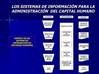LOS SISTEMAS DE INFORMACIÓN PARA LA ADMINISTRACIÓN  DEL CAPITAL HUMANO EJEMPLO DE UN SISTEMA DE INFORMACIÓN DE RECURSOS HUMANOS 