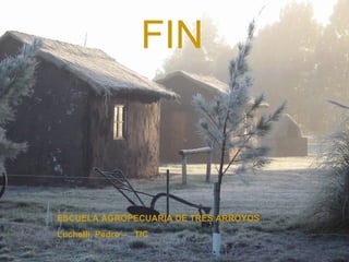 FIN ESCUELA AGROPECUARIA DE TRES ARROYOS Luchelli, Pedro –  TIC 