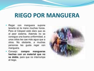 RIEGO POR MANGUERA
 Regar con manguera supone
tenerla en la mano muchas horas.
Para el Césped está claro que es
el peor sistema. Además no se
consigue una buena uniformidad, a
unos sitios les cae más agua que a
otros. No obstante, a muchas
personas les gusta regar con
manguera.
 Consejo: compra mangueras
hechas con un material que no
se dobla, para que no interrumpa
el riego.
 