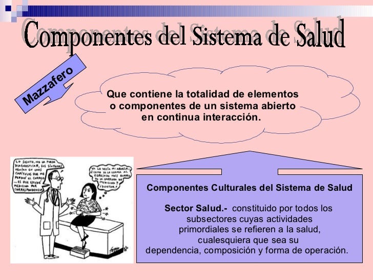 Sistemas De Salud Y Redes De Servicios De Salud