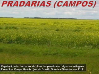 Vegetação rala, herbáceo, de clima temperado com algumas estiagens.Vegetação rala, herbáceo, de clima temperado com algumas estiagens.
Exemplos: Pampa Gaúcho (sul do Brasil), Grandes Planícies nos EUAExemplos: Pampa Gaúcho (sul do Brasil), Grandes Planícies nos EUA
 