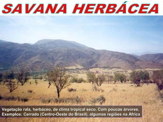 Vegetação rala, herbáceo, de clima tropical seco. Com poucas árvores.Vegetação rala, herbáceo, de clima tropical seco. Com poucas árvores.
Exemplos: Cerrado (Centro-Oeste do Brasil), algumas regiões na ÁfricaExemplos: Cerrado (Centro-Oeste do Brasil), algumas regiões na África
 
