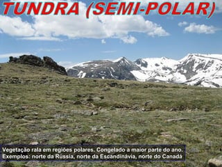 Vegetação rala em regiões polares. Congelado a maior parte do ano.Vegetação rala em regiões polares. Congelado a maior parte do ano.
Exemplos: norte da Rússia, norte da Escandinávia, norte do CanadáExemplos: norte da Rússia, norte da Escandinávia, norte do Canadá
 