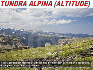 Vegetação rala em regiões de altitude que permanecem parte do ano congelada.Vegetação rala em regiões de altitude que permanecem parte do ano congelada.
Exemplos: Alpes, Himalaia, Andes.Exemplos: Alpes, Himalaia, Andes.
 