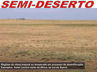 Regiões de clima tropical ou temperado em processo de desertificação.Regiões de clima tropical ou temperado em processo de desertificação.
Exemplos: Sahel (centro-norte da África, ao sul do Saara)Exemplos: Sahel (centro-norte da África, ao sul do Saara)
 