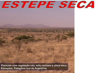 Planícies com vegetação rala, solo rochoso e clima seco.Planícies com vegetação rala, solo rochoso e clima seco.
Exemplos: Patagônia (sul da Argentina)Exemplos: Patagônia (sul da Argentina)
 