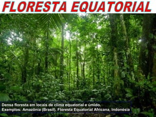 Densa floresta em locais de clima equatorial e úmido.Densa floresta em locais de clima equatorial e úmido.
Exemplos: Amazônia (Brasil), Floresta Equatorial Africana, IndonésiaExemplos: Amazônia (Brasil), Floresta Equatorial Africana, Indonésia
 
