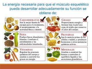 La energía necesaria para que el músculo esquelético
pueda desarrollar adecuadamente su función se
obtiene de:
 