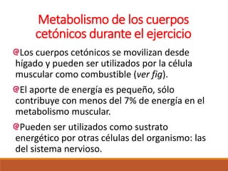 Metabolismo de los cuerpos
cetónicos durante el ejercicio
Los cuerpos cetónicos se movilizan desde
hígado y pueden ser utilizados por la célula
muscular como combustible (ver fig).
El aporte de energía es pequeño, sólo
contribuye con menos del 7% de energía en el
metabolismo muscular.
Pueden ser utilizados como sustrato
energético por otras células del organismo: las
del sistema nervioso.
 