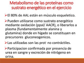 Metabolismo de las proteínas como
sustrato energético en el ejercicio
El 80% de AAL están en músculo esqueletico.
Pueden utilizarse como sustrato energético
mediante oxidación (ppal/ AACR), o liberarlos a
plasma (fundamentalmente alanina y
glutamina) donde en hígado se constituyen en
precursores gluconeogenicos.
Las utilizadas son las prot- no contráctiles.
Participacion confirmada por presencia de
urea en sangre y excreción de nitrógeno en
orina.
 