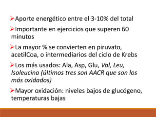 Aporte energético entre el 3-10% del total
Importante en ejercicios que superen 60
minutos
La mayor % se convierten en piruvato,
acetilCoa, o intermediarios del ciclo de Krebs
Los más usados: Ala, Asp, Glu, Val, Leu,
Isoleucina (últimos tres son AACR que son los
más oxidados)
Mayor oxidación: niveles bajos de glucógeno,
temperaturas bajas
 