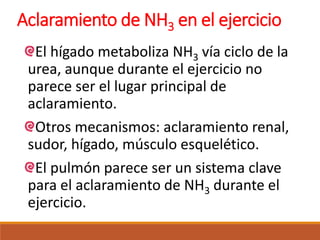 Aclaramiento de NH3 en el ejercicio
El hígado metaboliza NH3 vía ciclo de la
urea, aunque durante el ejercicio no
parece ser el lugar principal de
aclaramiento.
Otros mecanismos: aclaramiento renal,
sudor, hígado, músculo esquelético.
El pulmón parece ser un sistema clave
para el aclaramiento de NH3 durante el
ejercicio.
 