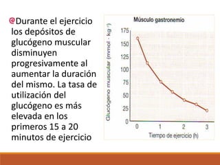 Durante el ejercicio
los depósitos de
glucógeno muscular
disminuyen
progresivamente al
aumentar la duración
del mismo. La tasa de
utilización del
glucógeno es más
elevada en los
primeros 15 a 20
minutos de ejercicio
 