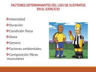 FACTORES DETERMINANTES DEL USO DE SUSTRATOS
EN EL EJERCICIO
Intensidad
Duración
Condición física
Dieta
Genero
Factores ambientales
Composición fibras
musculares
 