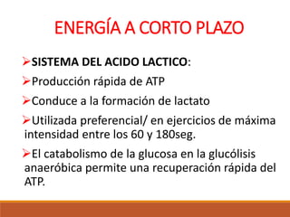 ENERGÍA A CORTO PLAZO
SISTEMA DEL ACIDO LACTICO:
Producción rápida de ATP
Conduce a la formación de lactato
Utilizada preferencial/ en ejercicios de máxima
intensidad entre los 60 y 180seg.
El catabolismo de la glucosa en la glucólisis
anaeróbica permite una recuperación rápida del
ATP.
 