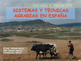 SISTEMAS Y TÉCNICAS AGRARIAS EN ESPAÑA PASADO  Y  PRESENTE © Prof. Alfredo García. IES “Dionisio Aguado”, Fuenlabrada, Madrid 