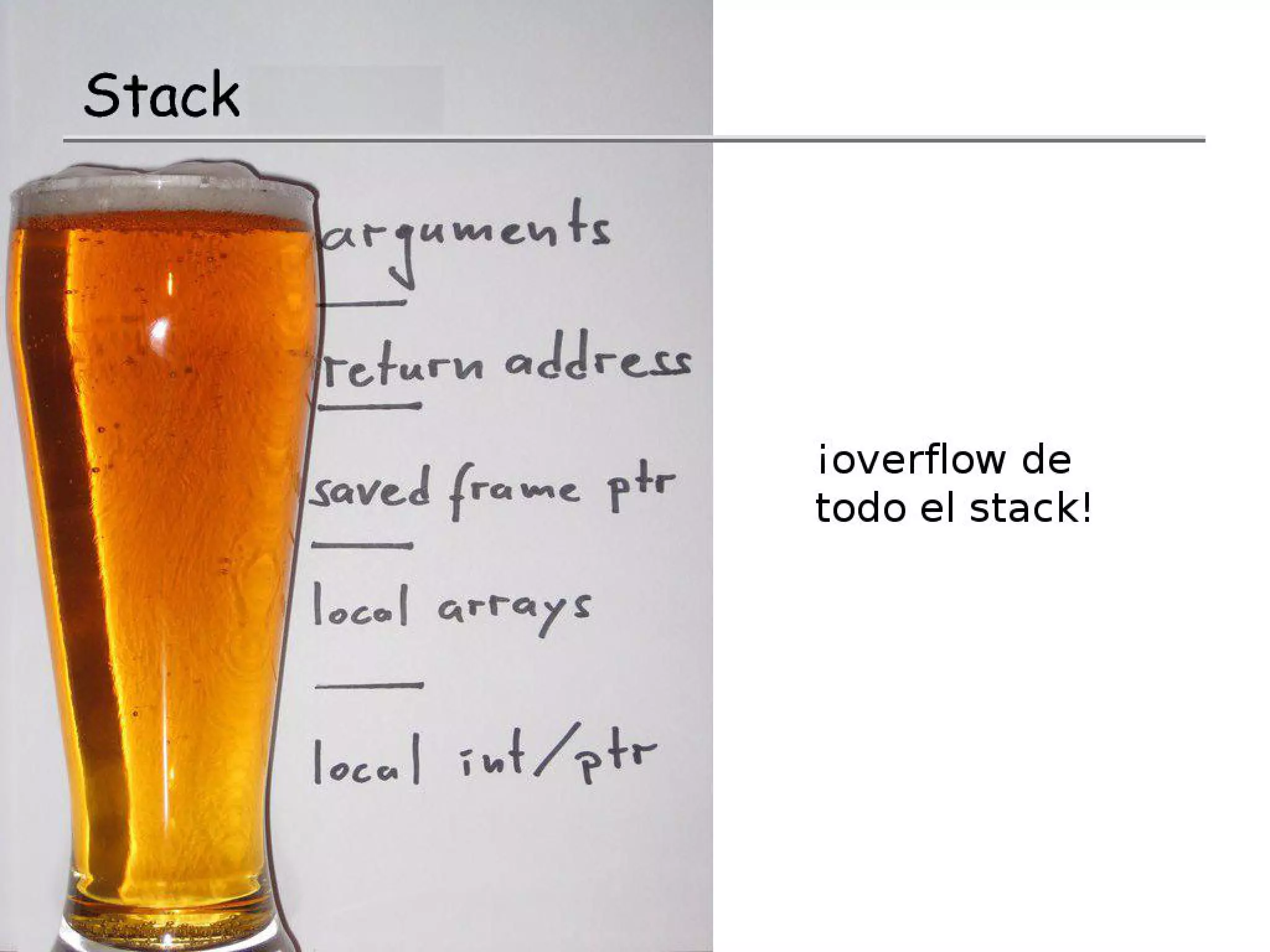 ¿Qué son las vulnerabilidades del software?