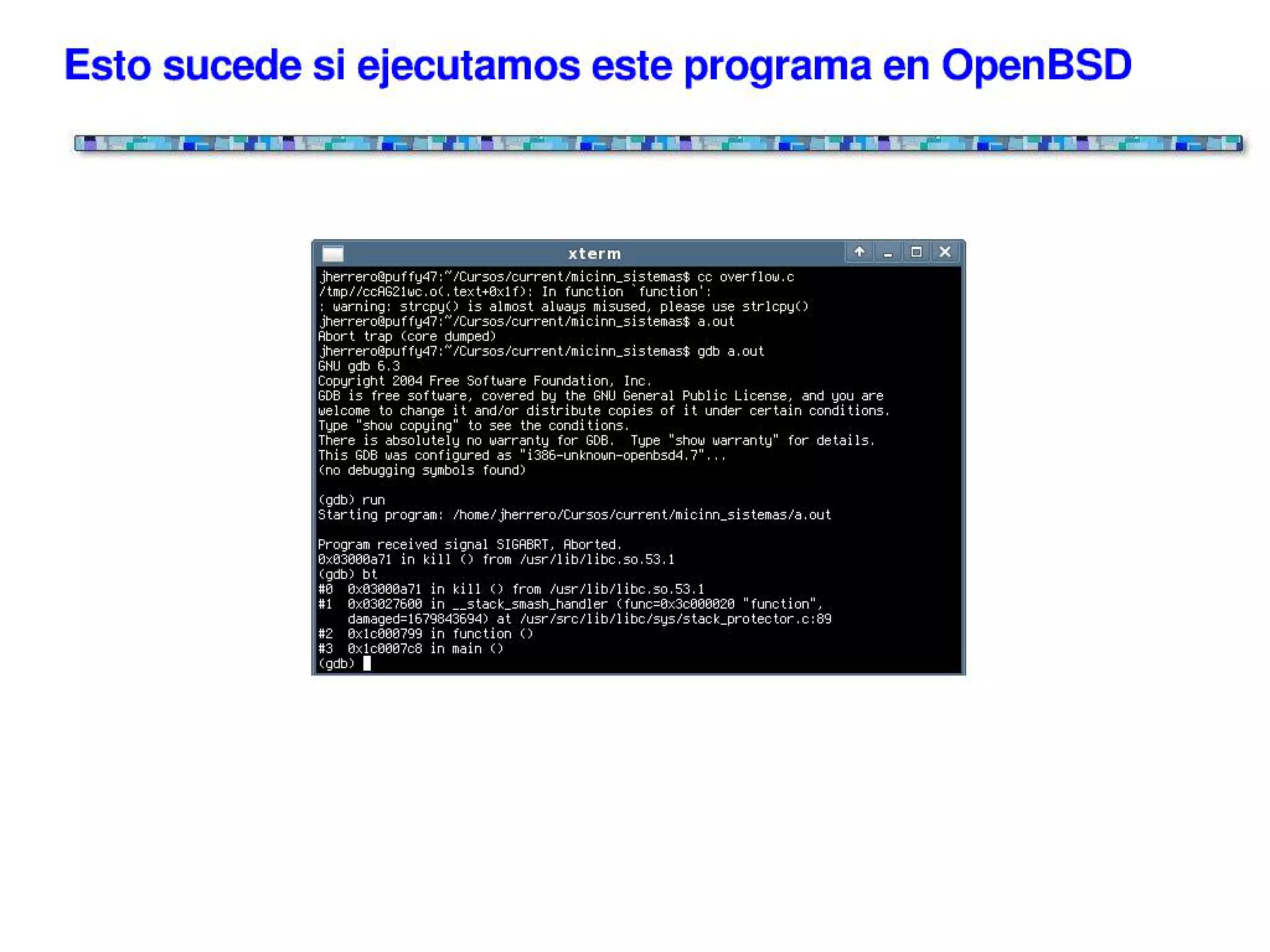¿Qué son las vulnerabilidades del software?