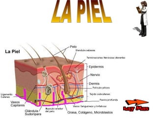 LA PIEL                