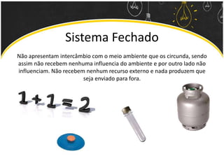 Sistema Fechado
Não apresentam intercâmbio com o meio ambiente que os circunda, sendo
assim não recebem nenhuma influencia do ambiente e por outro lado não
influenciam. Não recebem nenhum recurso externo e nada produzem que
seja enviado para fora.
 