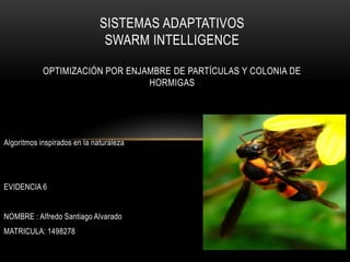 SISTEMAS ADAPTATIVOS
                               SWARM INTELLIGENCE

            OPTIMIZACIÓN POR ENJAMBRE DE PARTÍCULAS Y COLONIA DE
                                 HORMIGAS




Algoritmos inspirados en la naturaleza




EVIDENCIA 6


NOMBRE : Alfredo Santiago Alvarado
MATRICULA: 1498278
 