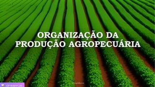 ORGANIZAÇÃO DA
PRODUÇÃO AGROPECUÁRIA
www.jografia.com
 