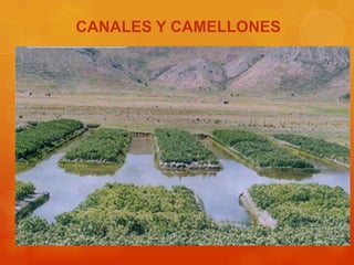Sistemas agricolas | PPTX