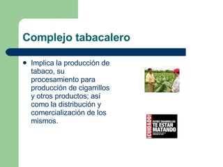 Complejo tabacalero  Implica la producción de tabaco, su procesamiento para  producción de cigarrillos y otros productos; así como la distribución y comercialización de los mismos.  