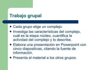 Trabajo grupal Cada grupo elige un complejo. Investiga las características del complejo, cuál es la etapa núcleo, cuantifica la actividad del complejo y lo describe.  Elabora una presentación en Powerpoint con cinco diapositivas, citando la fuente de información.  Presenta el material a los otros grupos.  