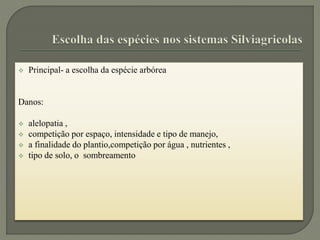  Principal- a escolha da espécie arbórea
Danos:
 alelopatia ,
 competição por espaço, intensidade e tipo de manejo,
 a finalidade do plantio,competição por água , nutrientes ,
 tipo de solo, o sombreamento
 