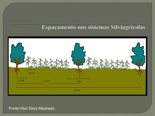 Fonte:Vitor Diniz Machado
 