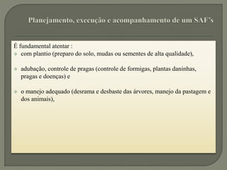 É fundamental atentar :
 com plantio (preparo do solo, mudas ou sementes de alta qualidade),
 adubação, controle de pragas (controle de formigas, plantas daninhas,
pragas e doenças) e
 o manejo adequado (desrama e desbaste das árvores, manejo da pastagem e
dos animais),
 