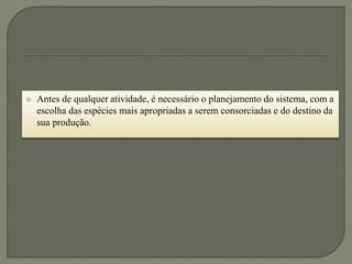  Antes de qualquer atividade, é necessário o planejamento do sistema, com a
escolha das espécies mais apropriadas a serem consorciadas e do destino da
sua produção.
 