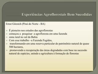 Ernst Göestch (Piraí do Norte - BA)
 É pioneiro nos estudos das agroflorestas
 começou a pesquisar a agrofloresta em uma fazenda
 zona rural no sul da Bahia
 Com esse trabalho –a Fazenda Fugidos,
 transformando-em uma reserva particular do patrimônio natural de quase
500 hectares,
 promovendo a recuperação das áreas degradadas com base na sucessão
natural de espécies, unindo a agricultura à formação de florestas
 