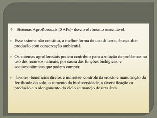  Sistemas Agroflorestais (SAFs)- desenvolvimento sustentável.
 Esse sistema não constitui, a melhor forma de uso da terra, -busca aliar
produção com conservação ambiental.
 Os sistemas agroflorestais podem contribuir para a solução de problemas no
uso dos recursos naturais, por causa das funções biológicas, e
socioeconômicos que podem cumprir.
 árvores -benefícios diretos e indiretos- controle da erosão e manutenção da
fertilidade do solo, o aumento da biodiversidade, a diversificação da
produção e o alongamento do ciclo de manejo de uma área
 