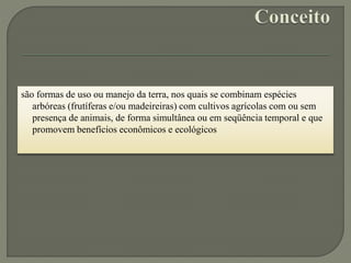 são formas de uso ou manejo da terra, nos quais se combinam espécies
arbóreas (frutíferas e/ou madeireiras) com cultivos agrícolas com ou sem
presença de animais, de forma simultânea ou em seqüência temporal e que
promovem benefícios econômicos e ecológicos
 