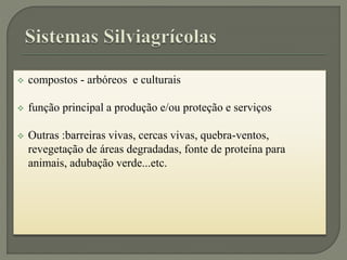  compostos - arbóreos e culturais
 função principal a produção e/ou proteção e serviços
 Outras :barreiras vivas, cercas vivas, quebra-ventos,
revegetação de áreas degradadas, fonte de proteína para
animais, adubação verde...etc.
 