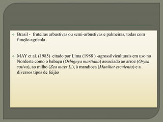 Brasil - fruteiras arbustivas ou semi-arbustivas e palmeiras, todas com
função agrícola .
 MAY et al. (1985) citado por Lima (1988 ) -agrossilviculturais em uso no
Nordeste como o babaçu (Orbignya martiana) associado ao arroz (Oryza
sativa), ao milho (Zea mays L.), à mandioca (Manihot esculenta) e a
diversos tipos de feijão
 