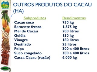 OUTROS PRODUTOS DO CACAU
(HA)
Subprodutos Rendimentos
Cacau seco 750 kg
Semente fresca 1.875 kg
Mel de Cacau 200 litros
Geléia 150 kg
Vinagre 180 litros
Destilado 25 litros
Polpa 300 a 400 litros
Suco congelado 300 a 400 litros
Casca Cacau (ração) 6.000 kg
 