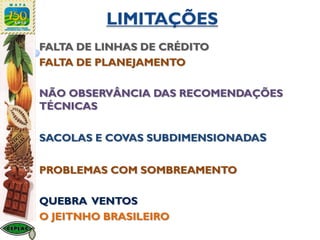 LIMITAÇÕES
FALTA DE LINHAS DE CRÉDITO
FALTA DE PLANEJAMENTO
NÃO OBSERVÂNCIA DAS RECOMENDAÇÕES
TÉCNICAS
SACOLAS E COVAS SUBDIMENSIONADAS
PROBLEMAS COM SOMBREAMENTO
QUEBRA VENTOS
O JEITNHO BRASILEIRO
 