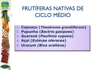 FRUTÍFERAS NATIVAS DE
CICLO MÉDIO
1. Cupuaçu (Theobroma grandiflorum)
2. Pupunha (Bactris gasipaes)
3. Guaraná (Paullinia cupana)
4. Açaí (Euterpe oleracea)
5. Urucum (Bixa orellana)
 