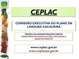CEPLAC
COMISSÃO EXECUTIVA DO PLANO DA
LAVOURA CACAUEIRA
www.ceplac.gov.br
www.ceplacpa.gov.br
ÓRGÃO DA ADMINISTRAÇÃO DIRETA
MINISTÉRIO DA AGRICULTURA, PECUÁRIA E
ABASTECIMENTO
 